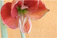 d3d8963e-Picture 004.jpg